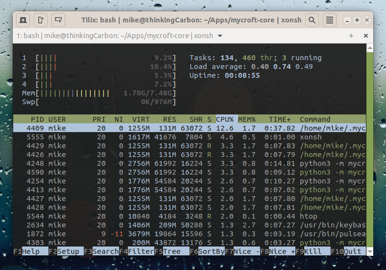 htop running